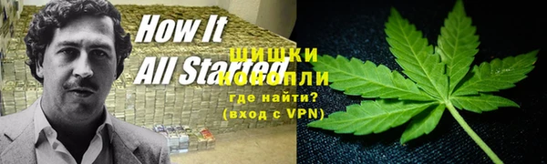 эйфоретик Белокуриха
