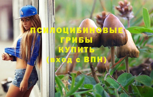 эйфоретик Белокуриха