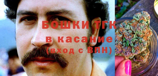 эйфоретик Белокуриха