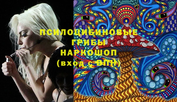 эйфоретик Белокуриха