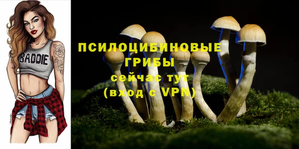 экстази Беломорск