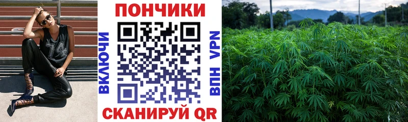 купить сайты mega tor Каннабис VHQ Краснослободск